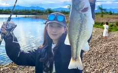 秘密教学1到100画免费